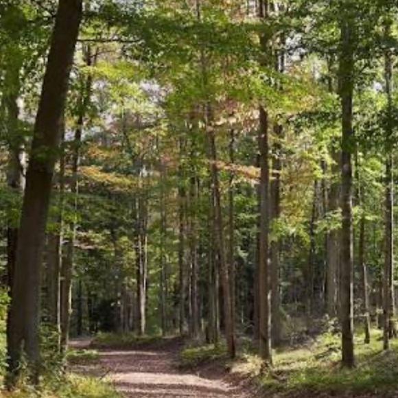 Resale 2Today - Picture 1 of 1